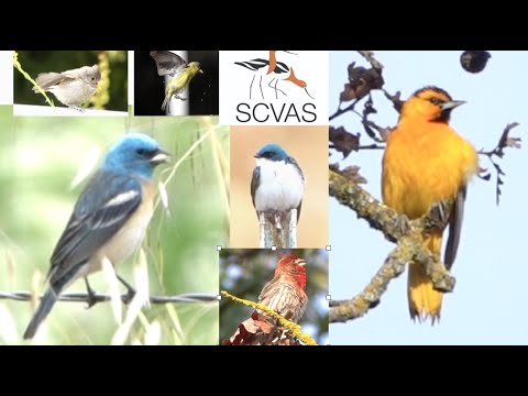 Carter Gasiorowski: Joseph D Grant Virtual Field Trip