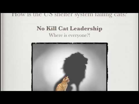 Cats are Not Small Dogs: Changing the Shelter System to Save More Cats - conference recording