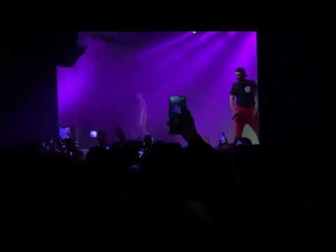 Belmondawg 8.10.21 Gdańsk