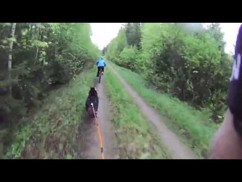 Ava ensimmäisellä Kickbike lenkillä