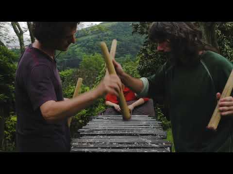 LAIMA JANSONE - Stāsti | Porta 21