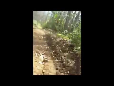 MTB @ lago acero, san vito, Catanzaro,Calabria part 2