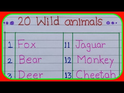20 wild animals name in English |20 जंगली जानवरों के नाम अंग्रेजी मे|wild animals name 20