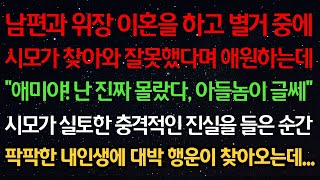 Download lagu 실화사연-남편과 위장이혼을 하고 별거중 시모가 찾아와 잘못했다며 애원하는데 “애미야! 난 진짜 몰랐다 아들놈이 글쎄” 시모가 실토한 충격적인 진실에 내 인생 대박 행운이 찾아오는데 mp3