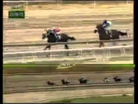 LA RINCONADA 5 CARRERA, DOMINGO 23 DE AGOSTO DEL 2015