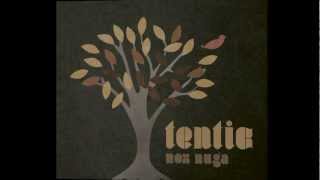 Tentic feat. Nicole Bernegger - Prise Dans La Liberté