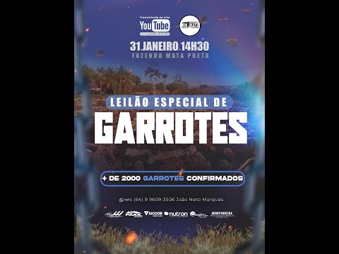 LEILÃO ESPECIAL DE GARROTE - Em Goiatuba Goiás,  31/01/2026 - DA MATA  Leilões - 14:00 Hs