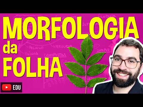 Morfologia da Folha (Organologia) - Aula 17: Botânica (Prof. Guilherme)