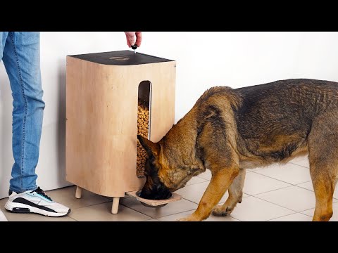 Build Your Own DIY Dog Food Dispenser With EASY Steps