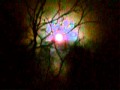 LUCKENBACH MOON