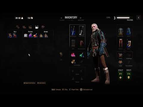 Let's Play The Witcher 3: Wild Hunt Blind Part 22