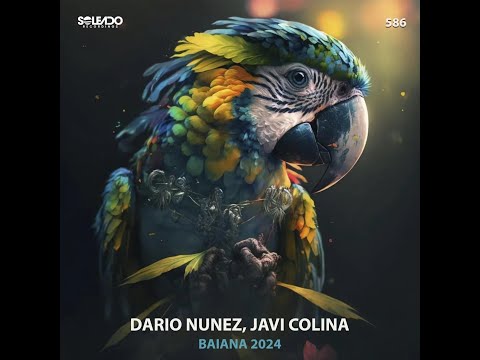 Dario Nunez, Javi Colina - Baiana 2024 (Original mix)