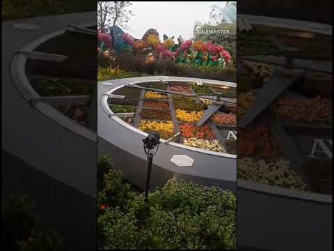 Singapore #garden # garden by the bay