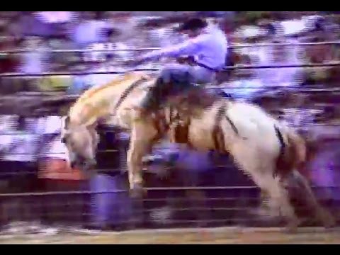 Cicero A. Dias Vs. Cavalo Hollywood - Indaiatuba/SP 1991