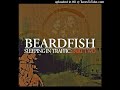 BEARDFISH-Sleeping In Traffic : Part Two-02-Into The Night-{2008}