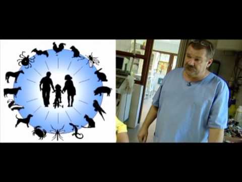az enterobiosis megelőzése