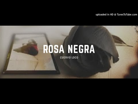 CUERVO LOCO // ROSA NEGRA