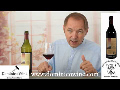 FR - Dégustation - Gamay de Tartegnin 2018 -  Domaine des Chantailles - ©Dominico Wine