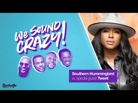 Southern Hummingbird w. special guest Tweet | We Sound Crazy Podcast