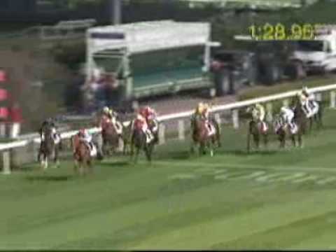 [HKIR 2008] CATHAY PACIFIC INTERNATIONAL JOCKEYS' CHAMPIONSHIP - 1st Leg
