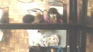 Shout Out Louds - Shut Your Eyes.