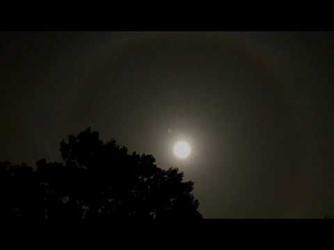 Super Blood Wolf Moon 2019 (Time Lapse)