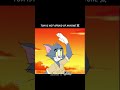 Tom And Jarry Shorts Shortvideo Funny Copycat Comedy