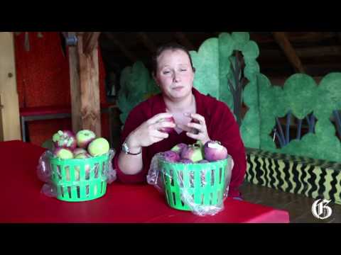 The secrets to perfect Dutch apple pie