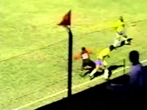 Assessoria Vieira Sports - Leandro Kivel