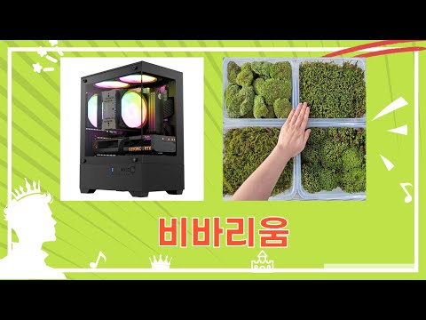 꿀팁 킹덤 비바리움 나노 블랙! 파충류양서류 비바리움 세팅 꿀조합 (feat. 아리마)