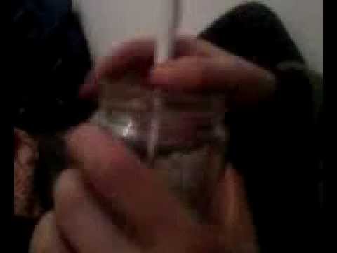 Jem Sobie Grzybki ! bejca i bronku