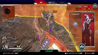 プラチナ4の沼で鼻水垂らしながらもがく［apex］