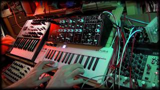 Video thumbnail for Behringer Cat Duophonic Play by Gnarly Soundscapes