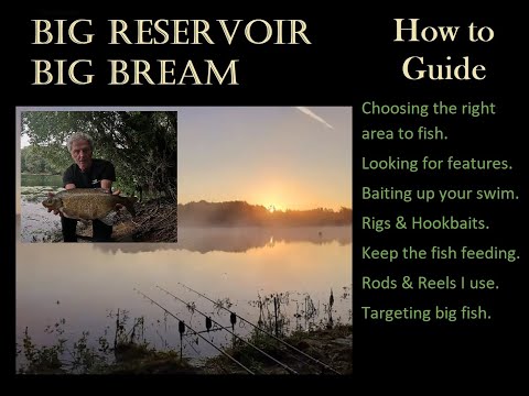 Huge reservoir, Huge Bream. A how to guide. #bigbream #essexfishing #carp #bigslab #bream