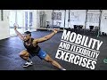 Essential Mobility and Flexibility Exercises | Improve your Training