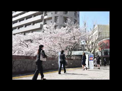 【社会福祉学科】関西福祉科学大学　入学式の様子