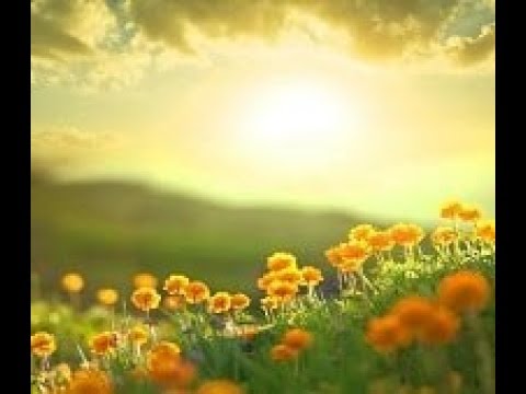 Meaning of صبح in Farsi with Examples - Learn Persian Online