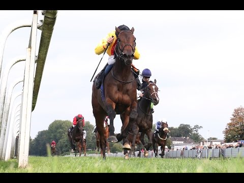 Dortmund: Großer Preis von DSW21 - 131. Deutsches St. Leger (Gruppe 3) - Siegerin: Virginia Sun