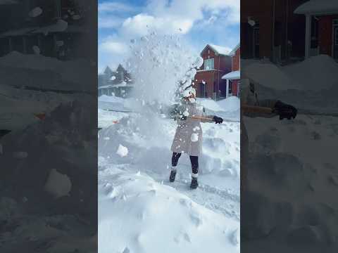 After snow effects | Snow cleaning | Making it memorable and fun #canadalife #tamil #shorts #snow