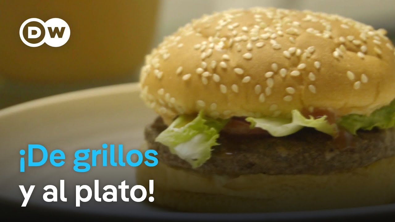 Comida a base de insectos