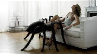НЕВЕРОЯТНЫЕ ИНТ....Е CBЯЗИ ЛЮДEЙ И ЖИBOTHЫХ