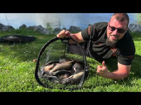 Feedern am großen Binnensee mit Top Tip und Live Biss.