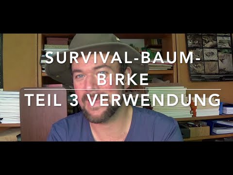 Survival Tree Birch (3) Tree Knowledge for Bushcrafters (Use)