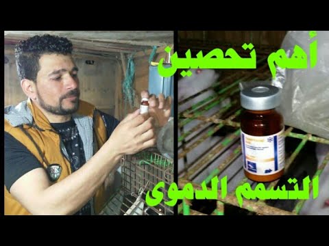 , title : 'أهم تحصين للارانب للتسمم الدموى الفيروسى (حلقه 29)'