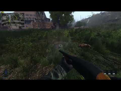 S.T.A.L.K.E.R - Escape from Pripyat 3.0 - Fokkin cats