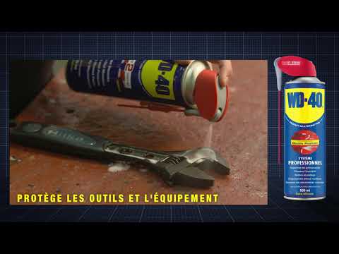 Lubrifiant dégrippant multifonctions - système pro WD40