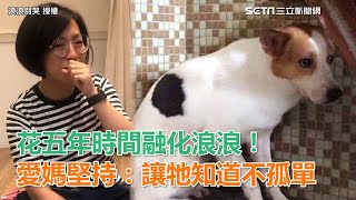 花五年融化浪浪　愛媽堅持：讓牠知道不孤單