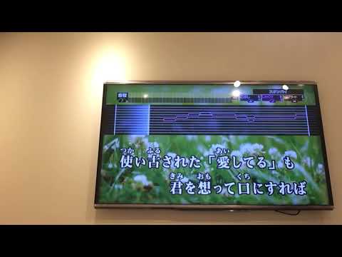 Sunday音域 ザ ベイビースターズ Hi Voice