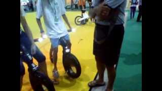 Green exhibition 2012.