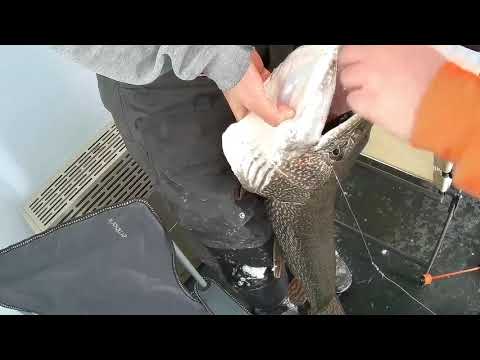 WHEN PIKE BITE BACK! DON'T DO THIS WHILE FISHING...